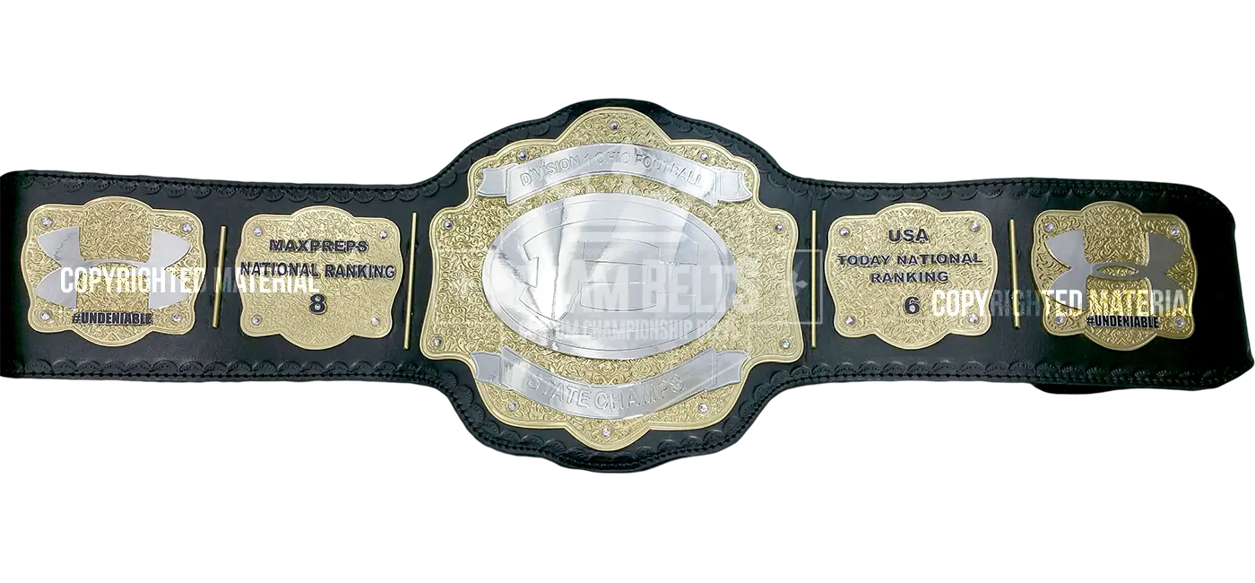 Division 1 Ohio Football State Champs front view