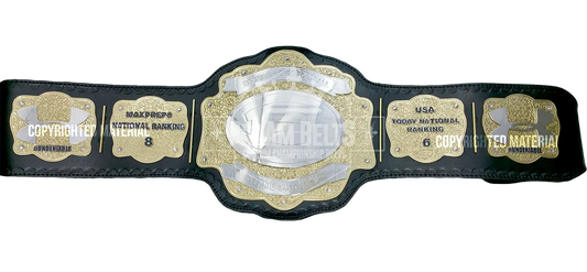 Division 1 Ohio Football State Champs front view