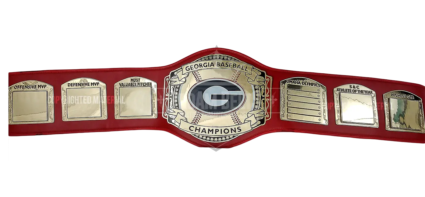 Georgia Baseball Champions front view
