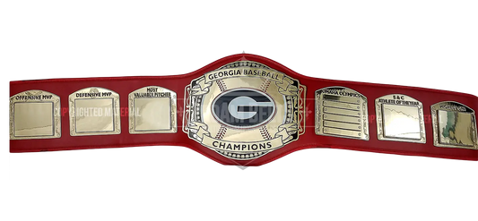 Georgia Baseball Champions front view