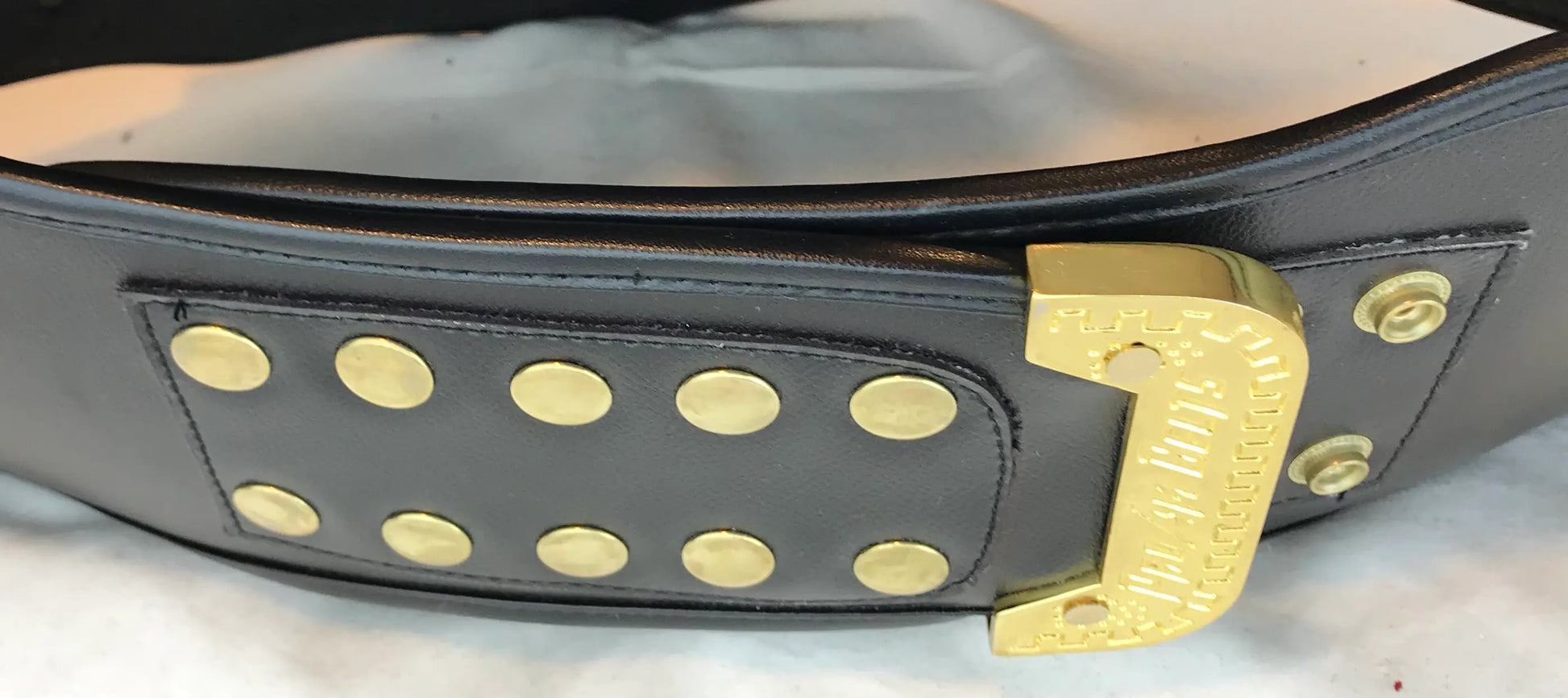 Unstoppable Economy Championship Belt alternate blank image