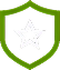 Green shield icon