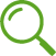 Green magnifying glass icon
