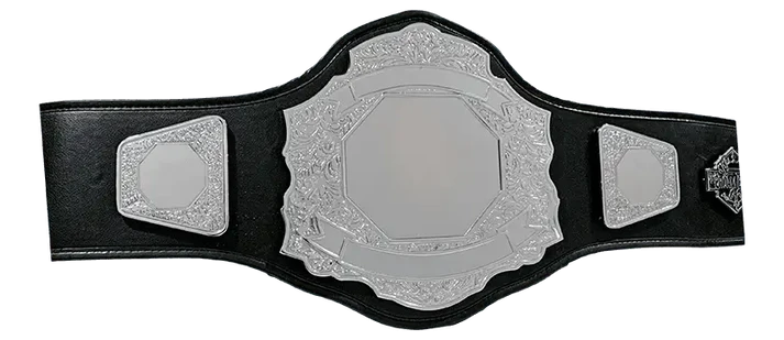 Amateur DC Silver II Championship Belt