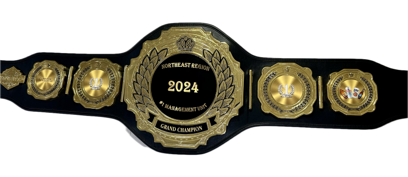 Poseidon DC Heavy Championship Belt