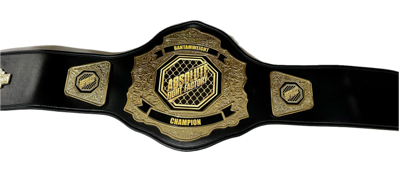 Amateur DC Gold II Championship Belt