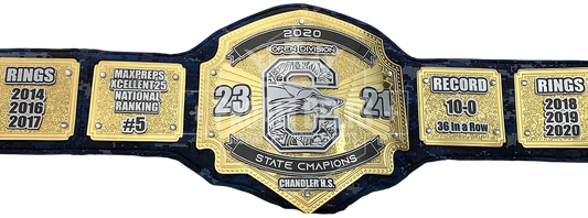 Chandler High School Open Division State Champions front view