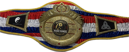 Victory Heavy Multi DC Championship Belt