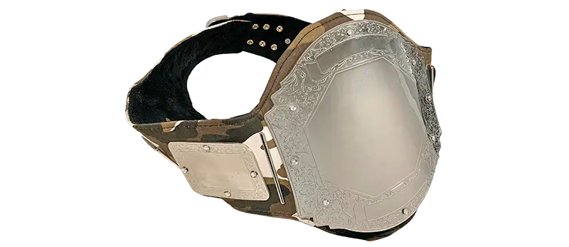 Prophet Camouflage Chrome Championship Belt customized example