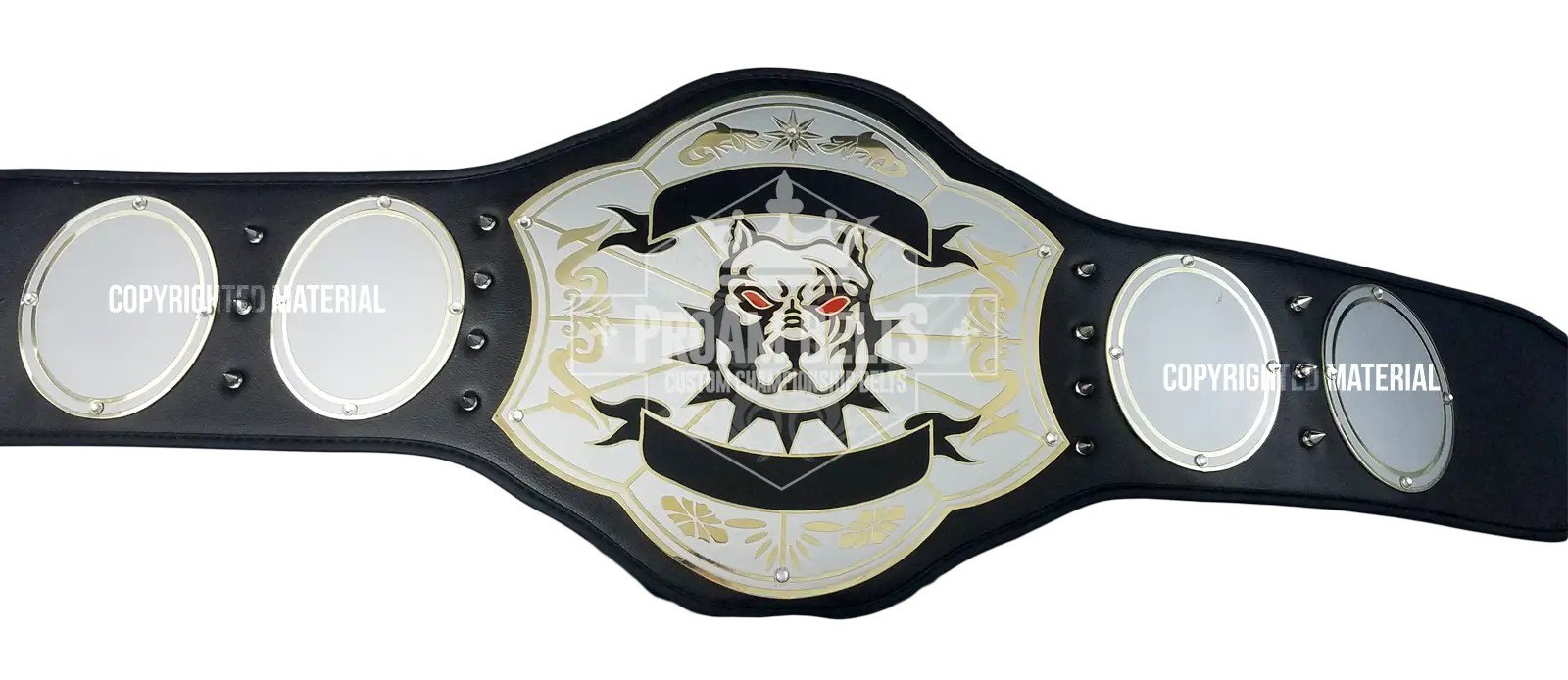 Top Dog Economy Championship Belt front view