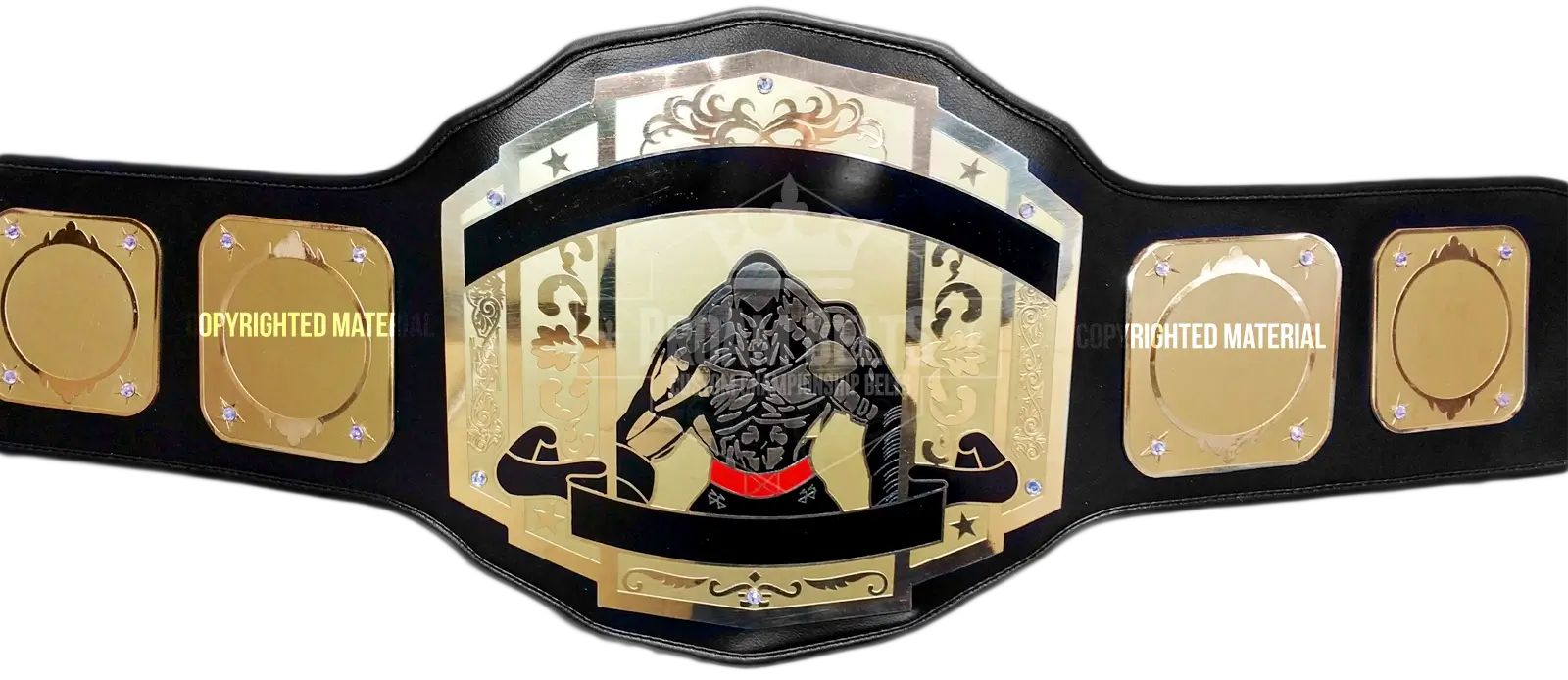 Unstoppable Economy Championship Belt front view