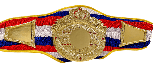 Gold championship belt with red, white, and blue stripes 