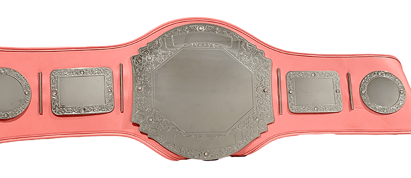 Prophet Economy Pink Championship Belt
