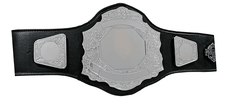 Amateur DC Silver II Championship Belt
