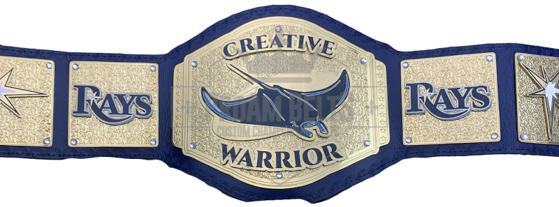 Tampa Bay Rays Creative Warrior Award