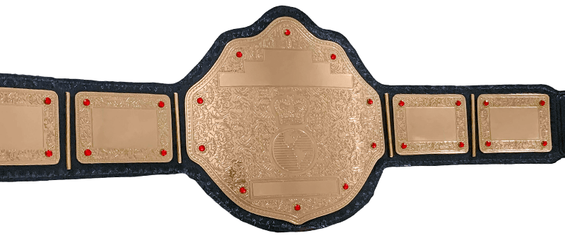 Just A Gold Championship Belt