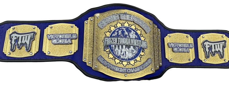 WWE wrestling Championship Belt Brass Plates Adult Size Replica Belt Leather Pad 